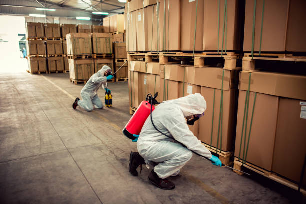 Best Wasp Removal Services  in Lithia Springs, GA
