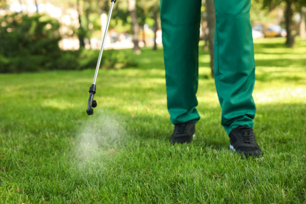 Best Wasp Removal Services  in Lithia Springs, GA