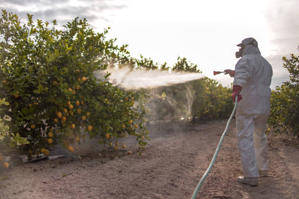 Pest Control for Restaurants in Lithia Springs, GA