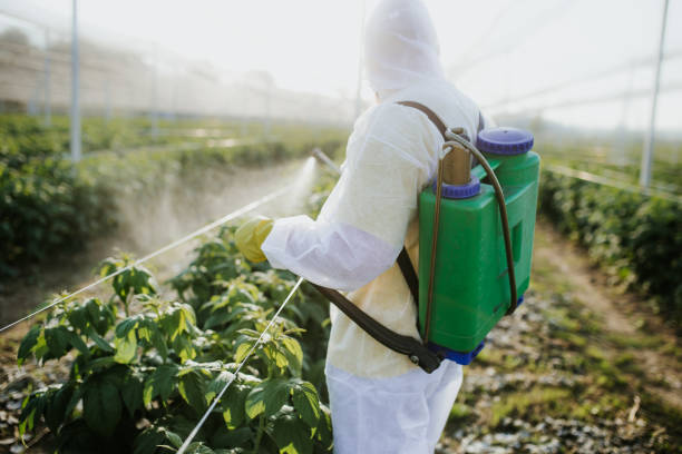 Best Local Pest Control Services  in Lithia Springs, GA